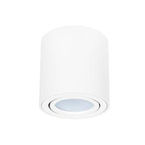 Накладной светильник A1513PL-1WH Arte Lamp