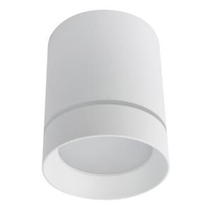 Накладной светильник A1909PL-1WH Arte Lamp