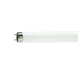 Лампа люм TL-D 36W/54-765 G13  PHILIPS