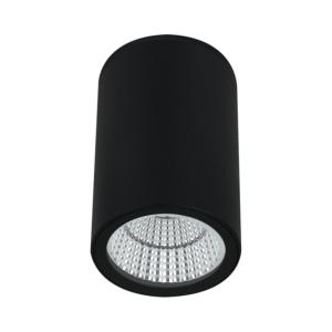 Потолочный светильник Torcular A1807PF-1BK Arte Lamp