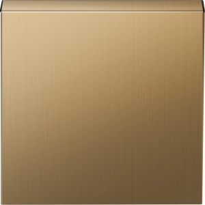 Накладка для розетки 1-м Schuko 16А с З/К с крышкой Латунь R98 METAL Donel