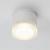 Потолочный светильник Piautos A1926PF-1WH Arte Lamp