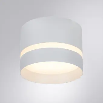 Накладной светильник A2265PL-1WH Arte Lamp