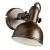 Спот Martin A5213AP-1BR Arte Lamp