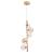 Подвесной светильник Etereo A5261SP-5GO Arte Lamp