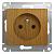 Розетка 1-м 16А С/У Дуб Glossa
