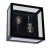 Потолочный светильник A4569PF-2BK Arte Lamp