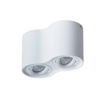 Накладной светильник A5645PL-2WH Arte Lamp