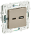 Розетка USB А+С 3,1А С/У Шампань Skandy