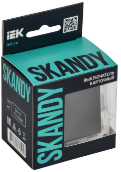 Выключатель карточный 30А С/У Графит Skandy