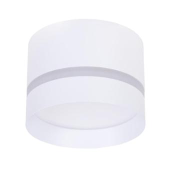 Накладной светильник A2265PL-1WH Arte Lamp