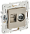 Розетка TV антенна + RJ45 кат.6 С/У Шамапнь Skandy