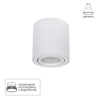 Накладной светильник A1513PL-1WH Arte Lamp