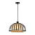 Подвесной светильник Woodstock A7071SP-1BK Arte Lamp