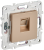 Розетка RJ45 кат.5Е С/У Песочный Skandy