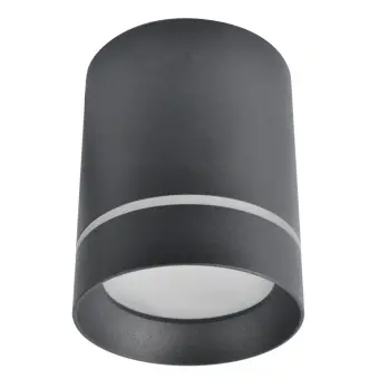 Накладной светильник A1949PL-1BK Arte Lamp