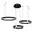 Подвесная люстра Shine A2222SP-3BK Arte Lamp