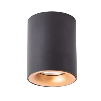 Накладной светильник A1532PL-1BK Arte Lamp