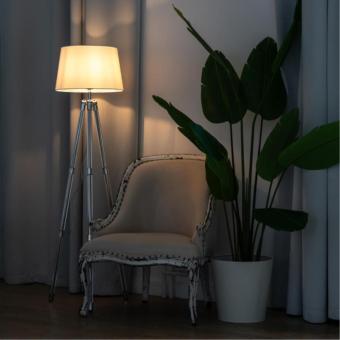 Торшер A4023PN-1CC Arte Lamp