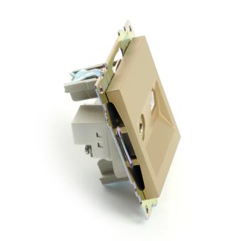Розетка TV антенна + RJ-45 С/У Золото Катрин