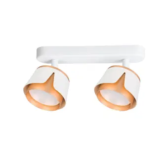 Спот Amaks A8028PL-2WH Arte Lamp