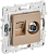 Розетка TV антенна + RJ45 кат.6 С/У Песочный Skandy