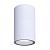 Фасадный светильник A3302PF-1WH Arte Lamp