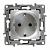 Розетка с/з со шторками, винт. клеммы, 16А, 250 В Алюминий Legrand Etika