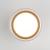 Потолочный светильник Light 35140/H 15W 4000K серый Elektrostandard
