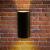 Фасадный светильник Alcyone A6109AL-2BK Arte Lamp