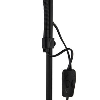 Торшер A9569PN-2BK Arte Lamp
